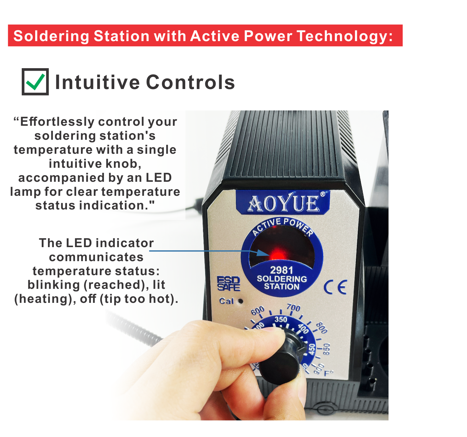AOYUE Int 2981